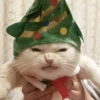 Animalitos en Navidad 10