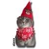 Michi 🎁🎄 Navidad 22
