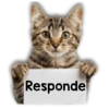 Michi mensajes gatito 🐱📩 10