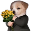 🌻💐 Flores amarillas 3 💐🌻  14