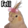 ☀️Animalitos con Frases 2🌼 7