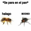 *Se para en el pan* halago acoso