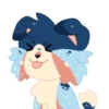 Indie the Collie 19