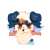 Indie the Collie 20