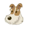 Fox Terrier by the Atelier Dog 6