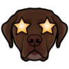 MAVERICK 5