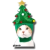Michi 🎁🎄 Navidad 23