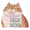 Febrero 2023 8