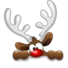Feliz Navidad 🎄 15