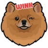 Mikka 10