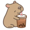 Capibara 7