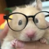 🐹Ratitas cutes🐹 9