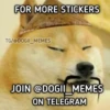 FOR MORE STICKERS TG/@DOGII_MEMES JOIN @DOGII MEMES ON TELEGRAM