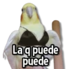 ☀️Animalitos con Frases 2🌼 9