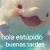 hola estúpido buenas tardes