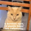 Memes para ligar 4 🔥🥵 13