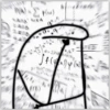 🌈Flork Mix 17🧦 9