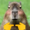 Capibara Moods 10