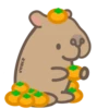 Capibara 8