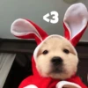 MEMES XD 13