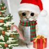 Animalitos en Navidad 11