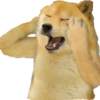 Doge / 16