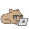 Capibara 9