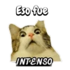 Michis memes 😹😼 8