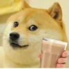 Doge / 17
