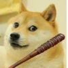 Doge / 18