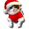 Michi 🎁🎄 Navidad 24