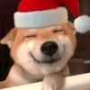 Animalitos en Navidad 13