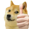 Doge / 19