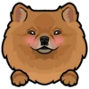 Mikka 12