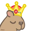 Capibara 11