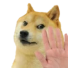 Doge / 20