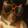 Ratitas Randoms 🧀 10