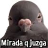 ☀️Animalitos con Frases 2🌼 9