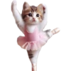 Michis Deportivos 🐈‍⬛ 10