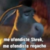 Sherk fuera de contexto 24