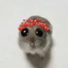 🐹 hamster triste🐹😟 22