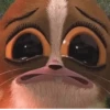 Imagens para o seu amor 18