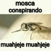mosca conspirando muahjeje muahjeje