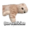 Michis memes 😹😼 10