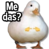☀️Animalitos con Frases 2🌼 11