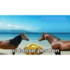 Pack Memes Randoms 11