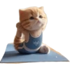 Michis Deportivos 🐈‍⬛ 11