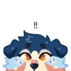 Indie the Collie 26