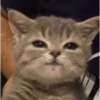 Imagens para o seu amor 19
