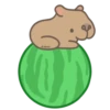 Capibara 12